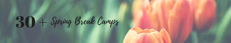 spring break camps, spring break 2024