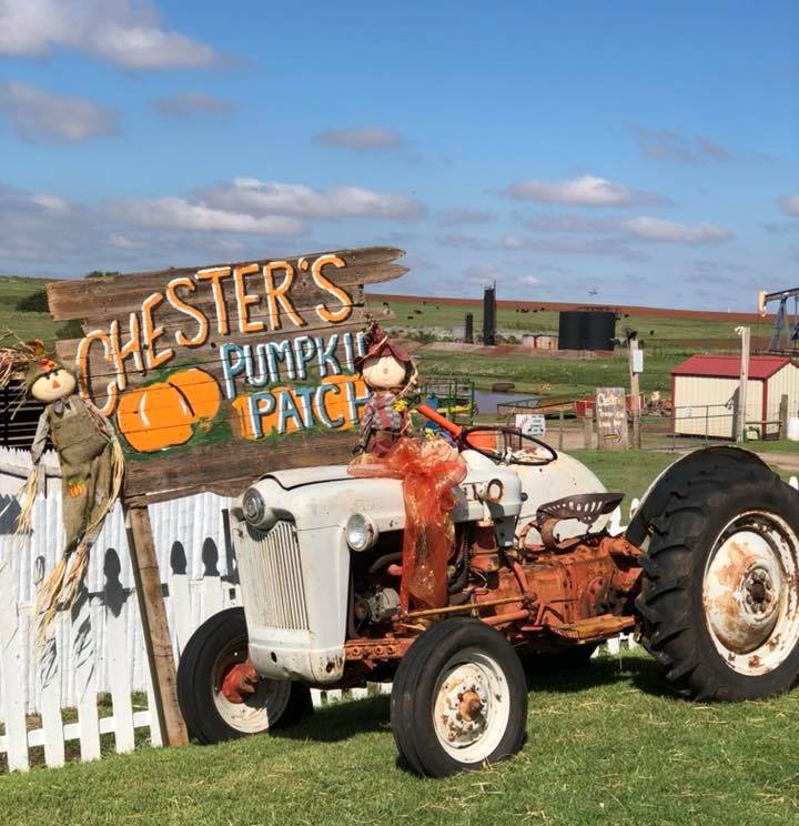 Chester's Pumpkin Patch in OKC