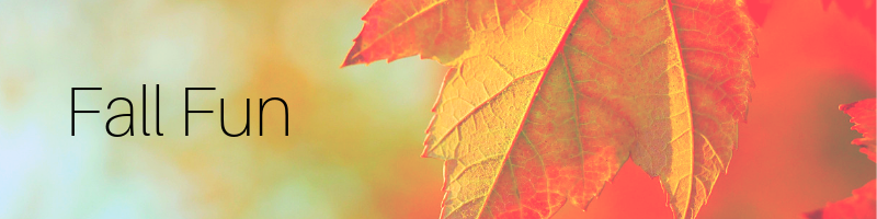 Fall fun graphic, fall events in okc, things to do in september and october