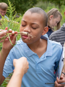 community gardening, gardening with kids