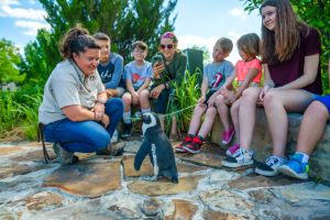 Tanganyika Wildlife Park