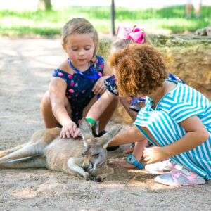 Tanganyika Wildlife Park