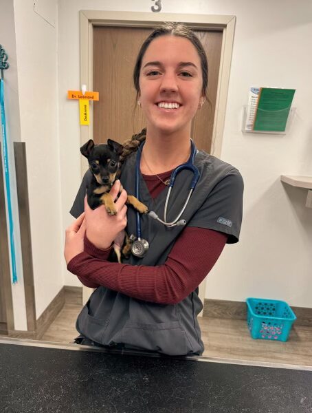 MOORE PUBLIC SCHOOLS STUDENT ERICA FRASS holds a small dog while working as an intern for a local vet clinic. The program is part of the district's workforce development opportunities. 